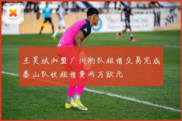 王昊斌加盟广州豹队租借交易完成泰山队收租借费两万欧元