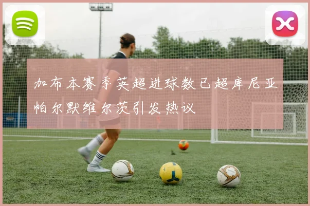 加布本赛季英超进球数已超库尼亚帕尔默维尔茨引发热议