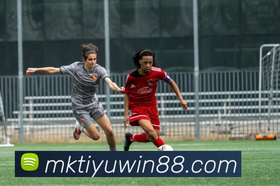 App Interface Preview